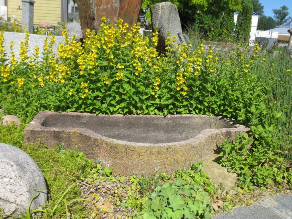 Brunnencenter Allgäu – Steinbrunnen Online-Shop