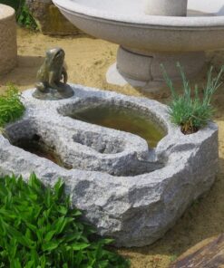 Wasserspiel mit Bronzefrosch