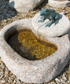 Wasserspiel mit Bronzefrosch