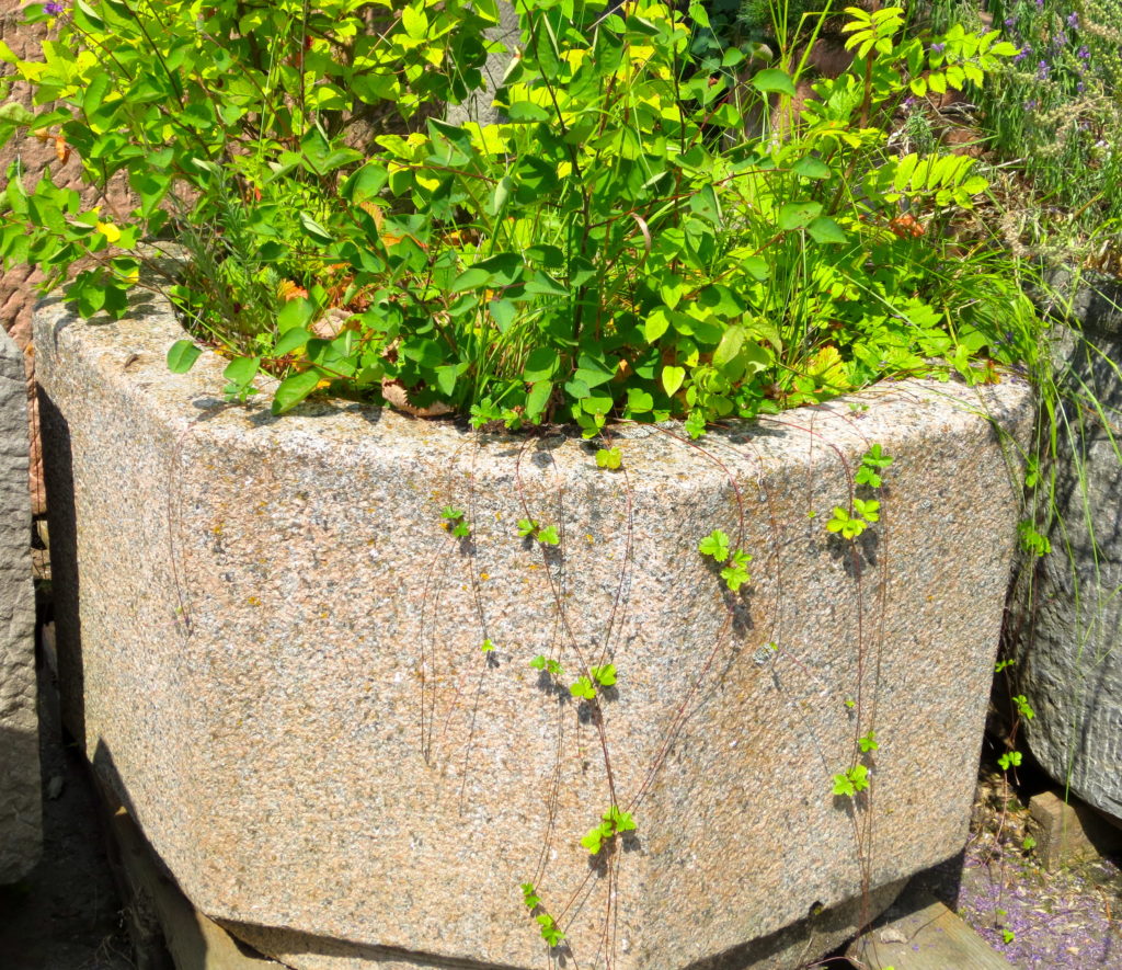Brunnencenter Allgäu – Steinbrunnen Online-Shop