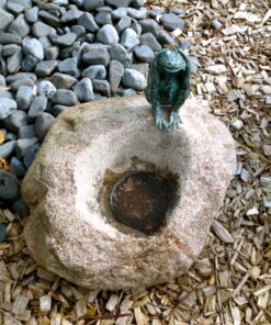 Alternative view of Vogeltränke mit Bronzefrosch