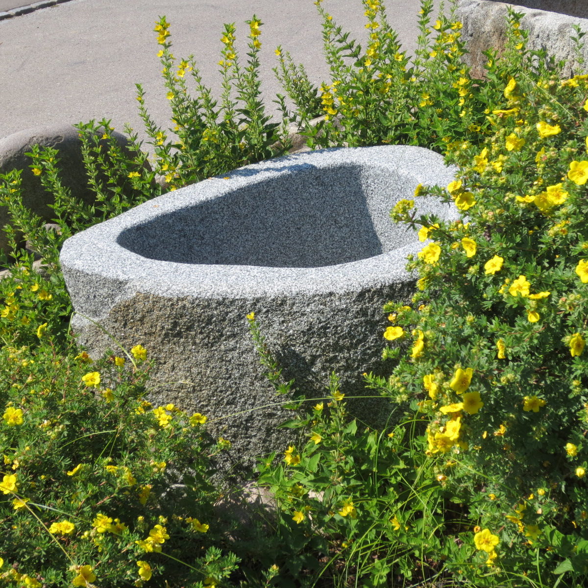 Brunnenfindling mit Naturkruste BWk003 (2)