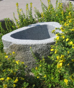 Brunnenfindling mit Naturkruste BWk003 (2)