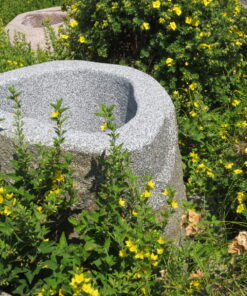 Brunnenfindling mit Naturkruste BWk003 (3)