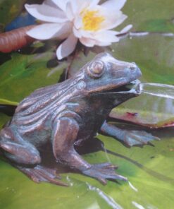 Frosch aus Bronze wasserspeiend
